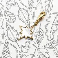 Celestial Seashell 스타 매력