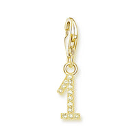 מספר מצופה זהב Charm