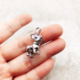 치와와 개 Charm