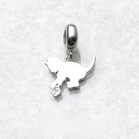 작은 새끼 고양이 고양이 Charm