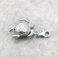 남생이 Charm