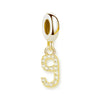 金メッキ番号 Charm