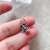 ガネーシュエレファントラッキー Charm