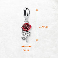 빨간 장미 꽃 Charm