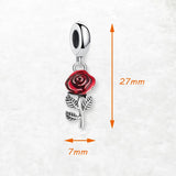빨간 장미 꽃 Charm
