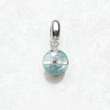 글로브 세계지도 Charm