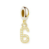金メッキ番号 Charm