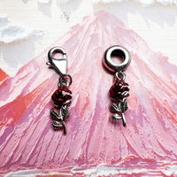 빨간 장미 꽃 Charm