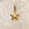 金色のヒトデ Charm