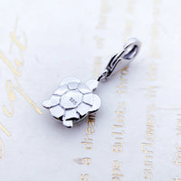 녹색 거북이 Charm