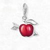 リンゴの矢印 Charm