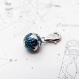 글로브 세계지도 Charm