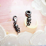 빨간 장미 꽃 Charm