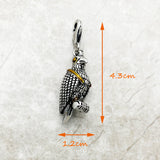 Peregrine Falcon 매력