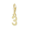 金メッキ番号 Charm
