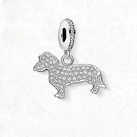 귀여운 Dachshund 매력