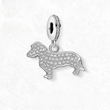 귀여운 Dachshund 매력