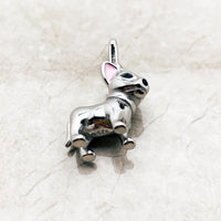 치와와 개 Charm