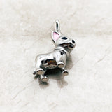 치와와 개 Charm