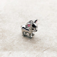 치와와 개 Charm