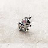 치와와 개 Charm
