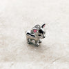 チワワ犬 Charm