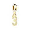 金メッキ番号 Charm