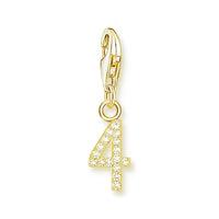 מספר מצופה זהב Charm