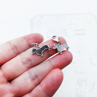 귀여운 Dachshund 매력