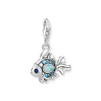 Encanto de pescado marítimo azul