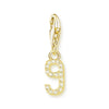 金メッキ番号 Charm