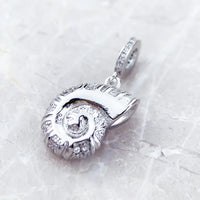 조가비 Charm