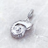 巻き貝 Charm