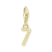 מספר מצופה זהב Charm