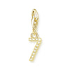 金メッキ番号 Charm