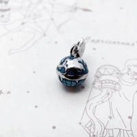 글로브 세계지도 Charm