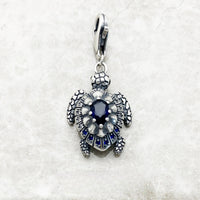 거북이 Charm