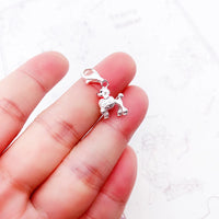 푸들 개 Charm