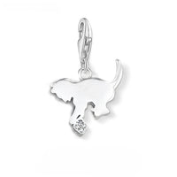 작은 새끼 고양이 고양이 Charm