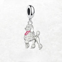 כלב פודל Charm