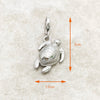 カメ（Tortoise） Charm