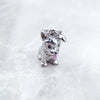 コーギー犬 Charm