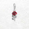 赤いバラの花 Charm