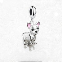 치와와 개 Charm