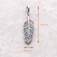 무지개 깃털 Charm