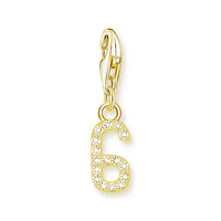מספר מצופה זהב Charm
