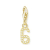金メッキ番号 Charm