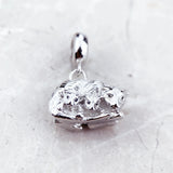 고양이와 새끼 고양이 Charm