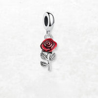 빨간 장미 꽃 Charm
