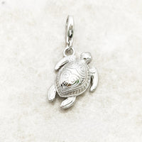 צָב Charm